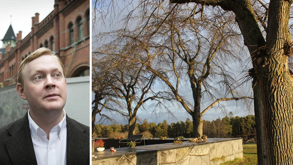 Sjukt träd ska fällas i Skogskyrkogården: 