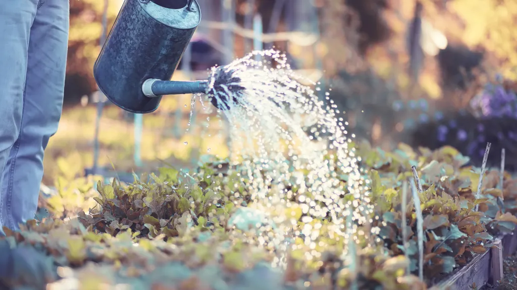 Kommunen siktar på rekordmånga sommarjobb