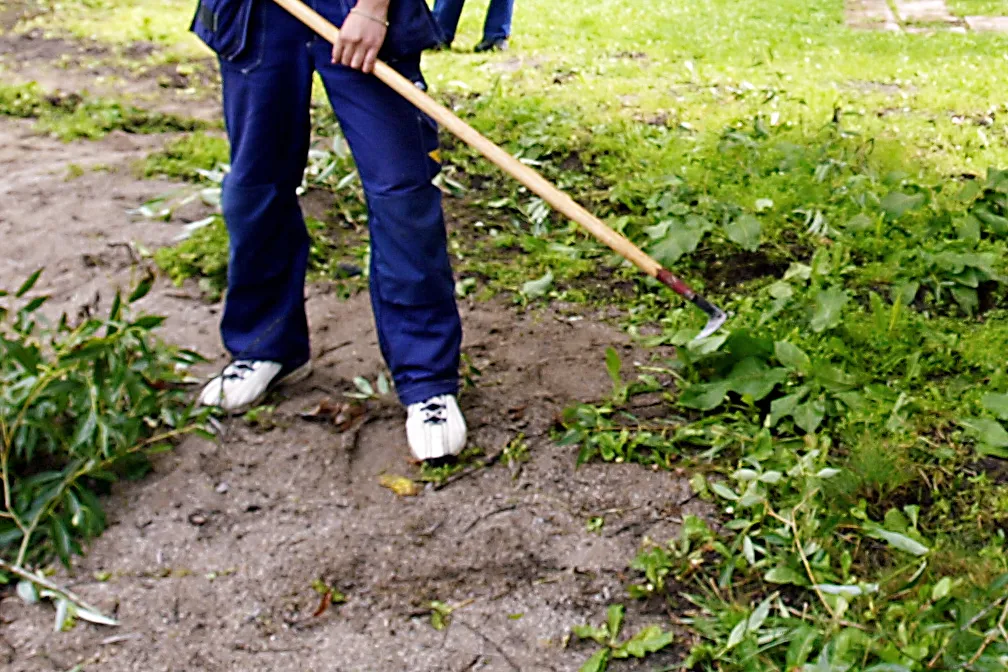 Så många har sökt sommarjobb i Järfälla