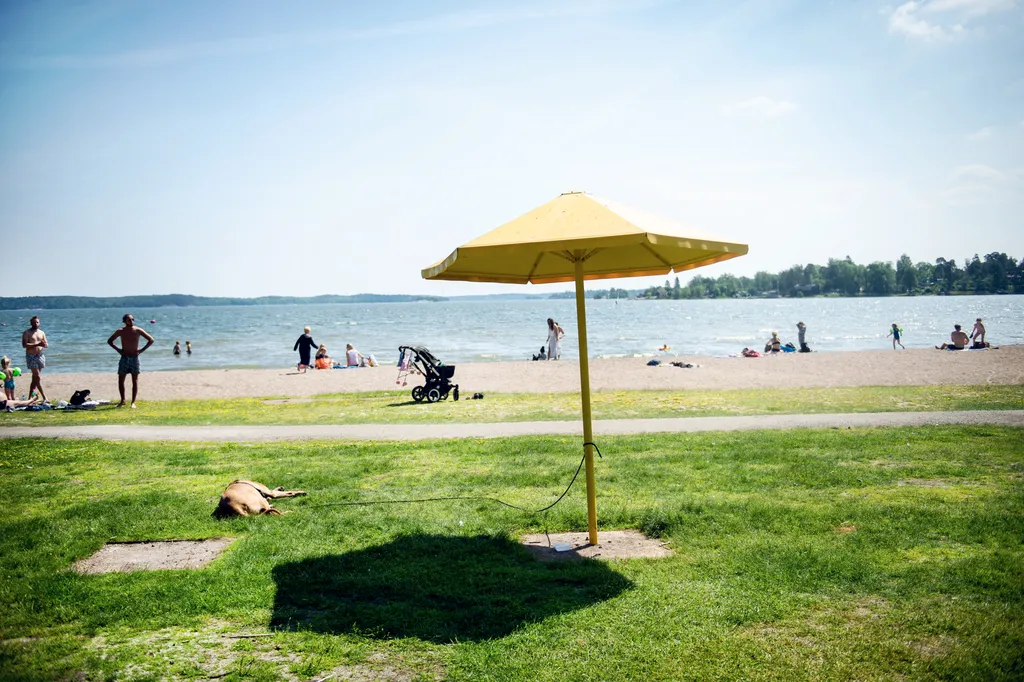 Meteorologisk sommar har anlänt till södra Sverige – Stockholm får vänta — image 2