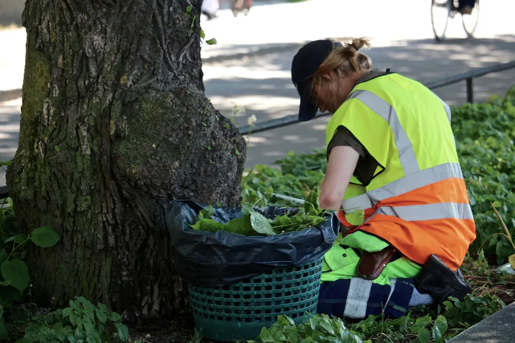 Nu kan man söka sommarjobb