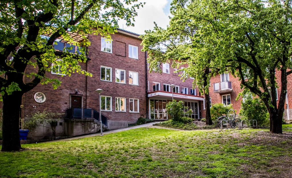 Inga ligister på plats när Timmermansgården fyller jämnt | Mitt i