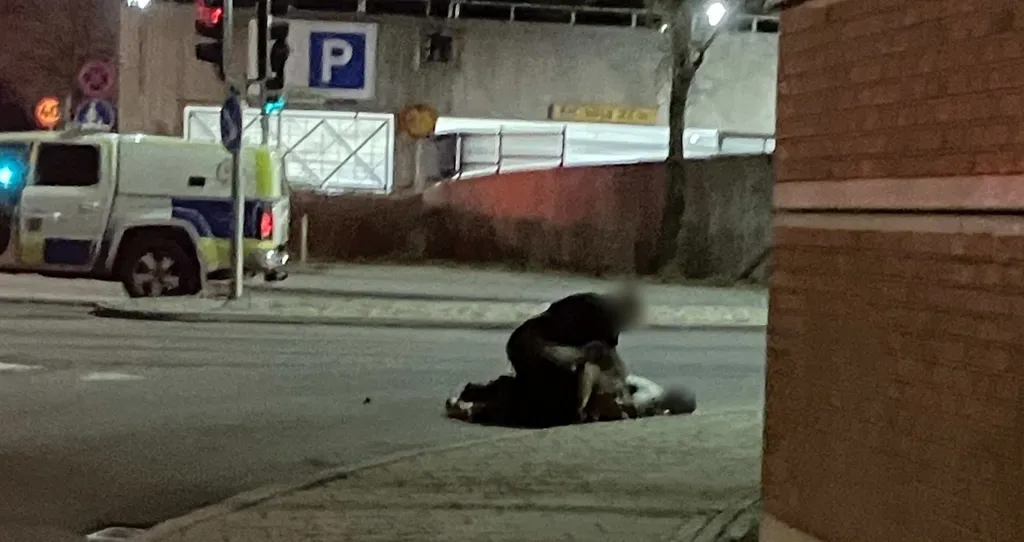 Polis dömd för tjänstefel efter hundattack