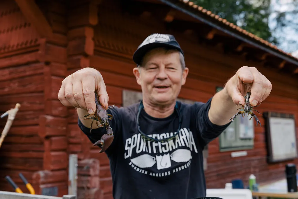 Løp til Gøteborgssjøen kreps |  Midt i Gøteborg